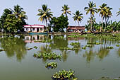 Kerala backwaters, travelling the neighborhood by public ferry service from  Alleppey to Kumbakonam. 